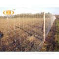 Fence a maglie del campo agricola zincato 5 piedi